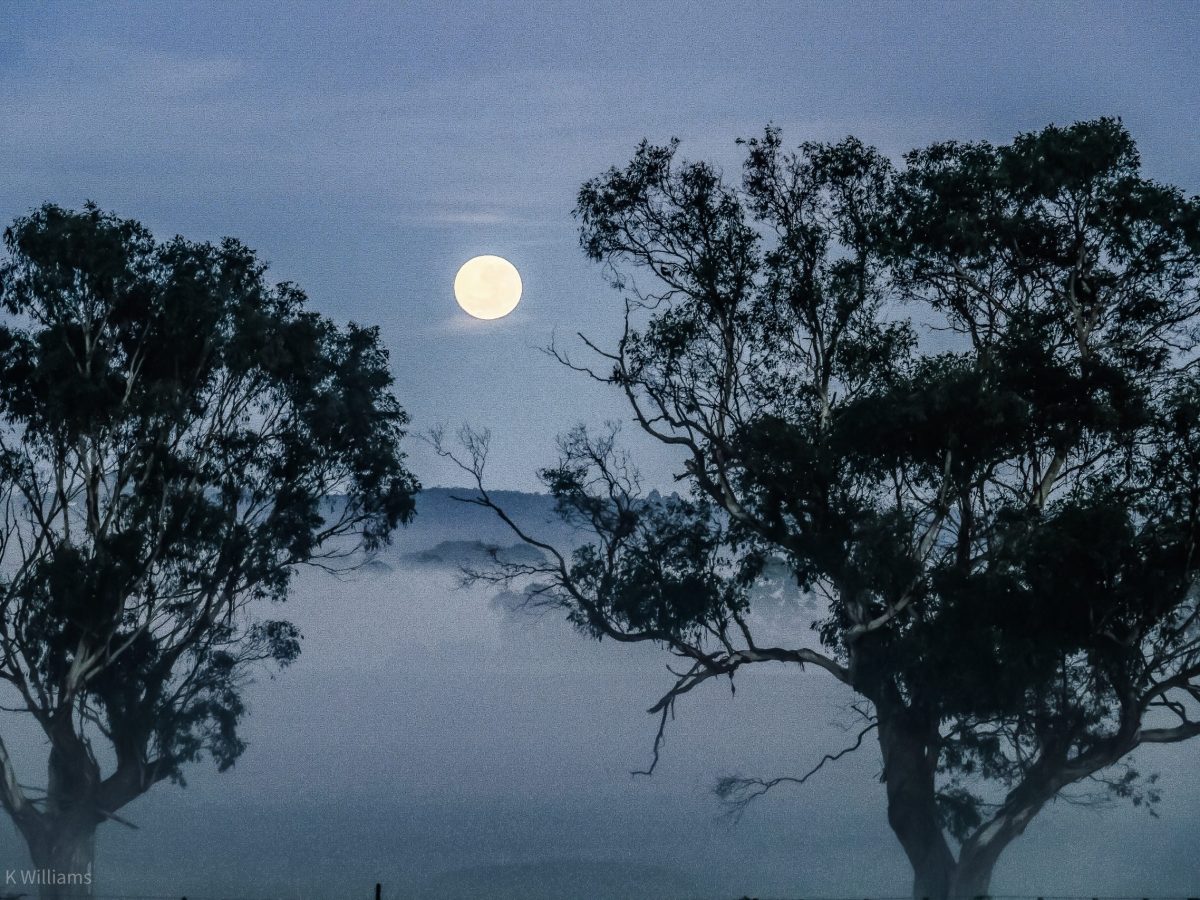 Misty Moonrise